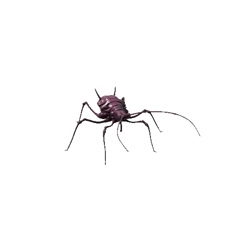 Aphid Mutant Pink